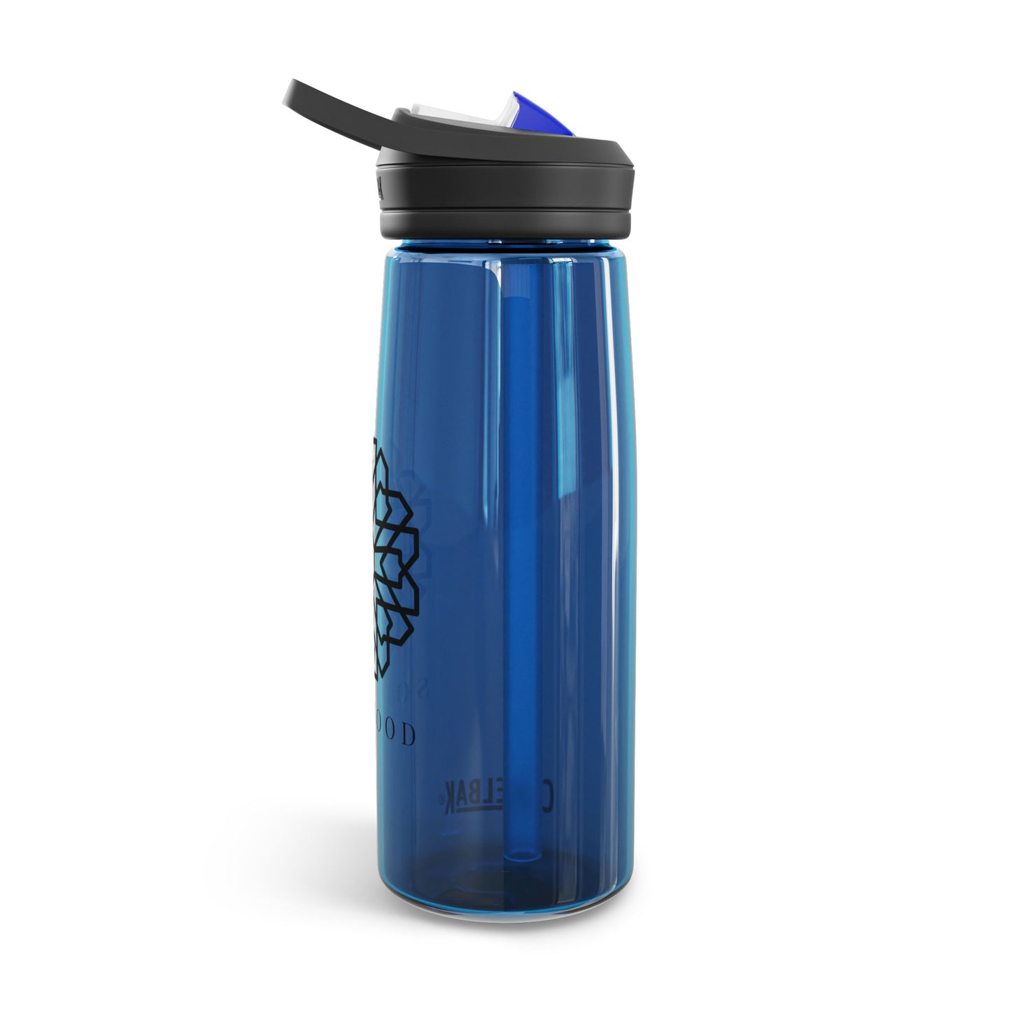 CamelBak Eddy® SoulFood Water Bottle, 25oz